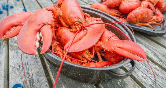 High Life Decoded: Everything You Need to Know About Eating Lobsters