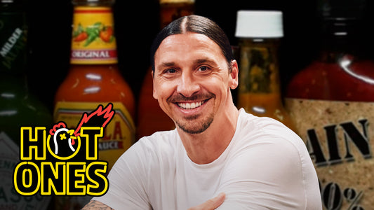 Zlatan Ibrahimović Gets Slide Tackled By Spicy Wings